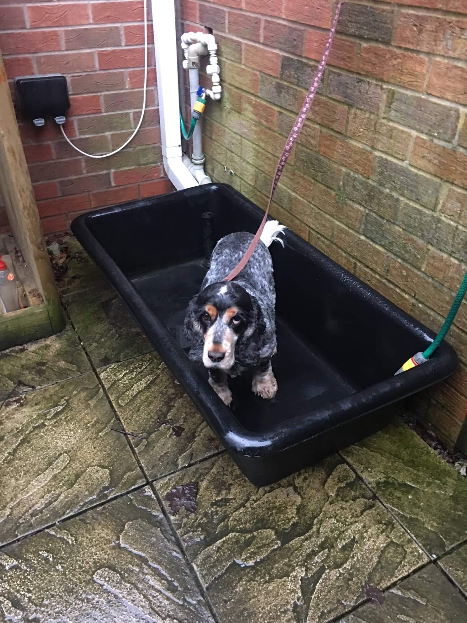 Dog Bath Tub (150L) Ideal for larger dogs Free delivery